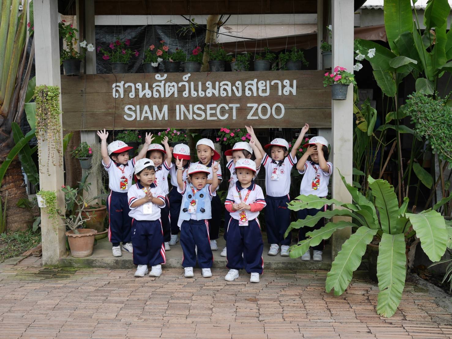 SIAM INSECT ZOO