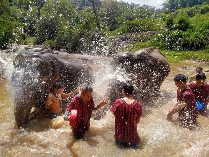 Sawasdee elephant care Chiangmai
