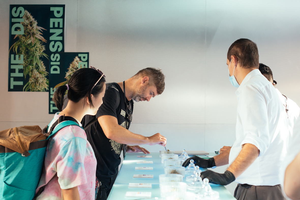 THE DISPENSARY