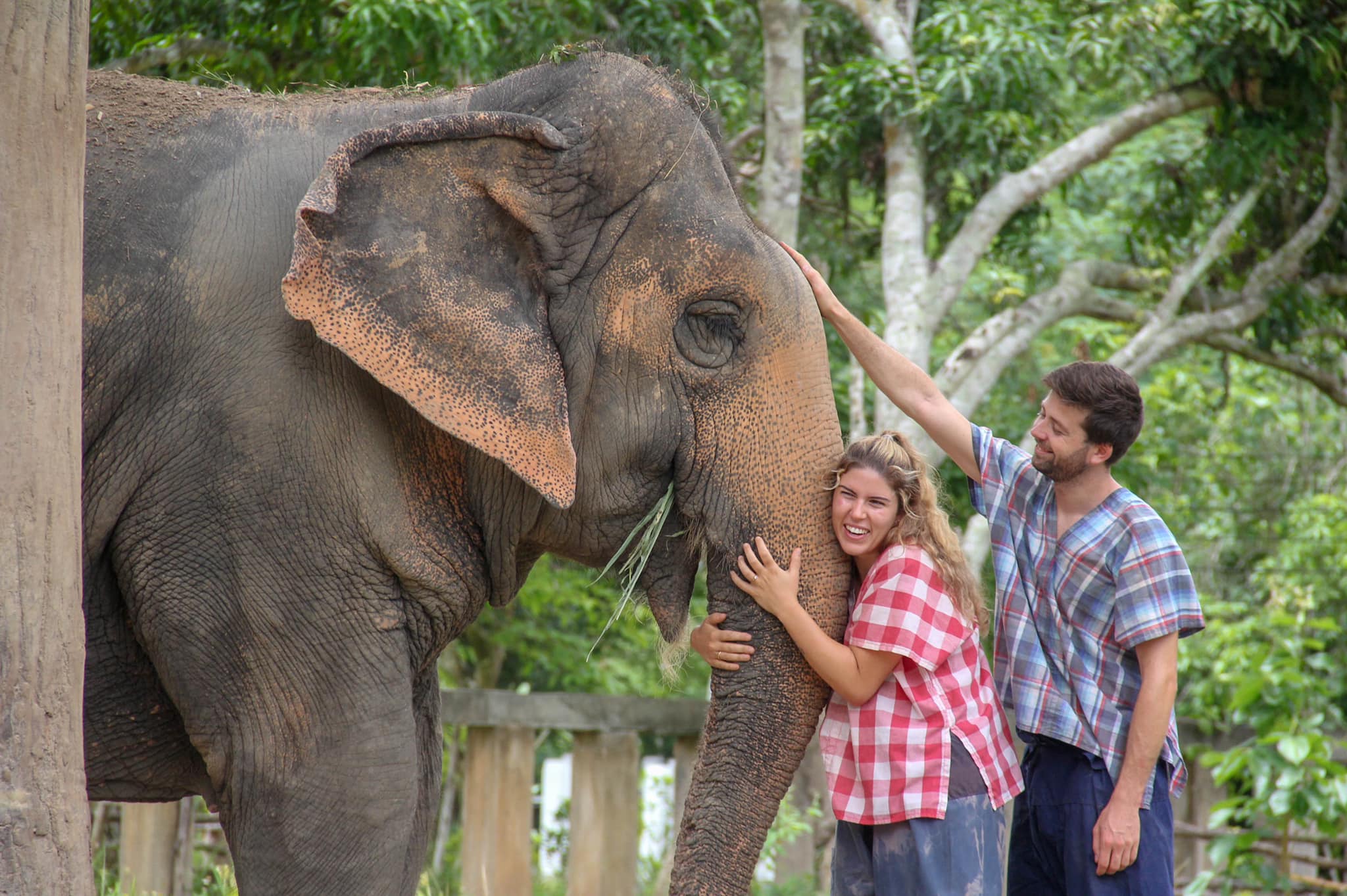 MAERIM ELEPHANT SANCTUARY