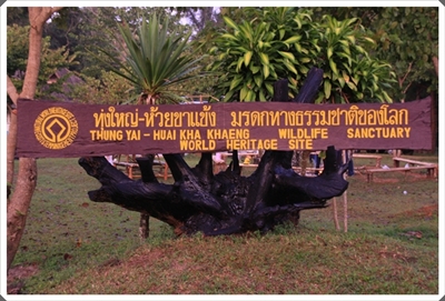 โครงการเสริมโปงเทียม ณ เขตรักษาพันธุ์สัตว์ป่าทุ่งใหญ่นเรศวรตะวันออก (อุ้มผาง น้ำตกทีลอซู พม่า เมียวดี ) 20 -22 พ.ย. 52