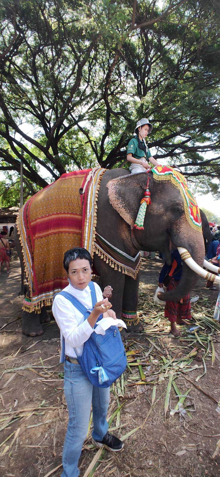มหัศจรรย์ 60 ปี งานช้างสุรินทร์ บุรีรัมย์ 3วัน 2คืน เดินทาง 20-22 พ.ย.2563