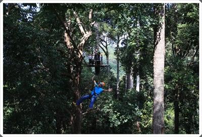 โครงการจัดงานส่งเสริมการขาย Nothern Eco and Adventure Travel Mart
