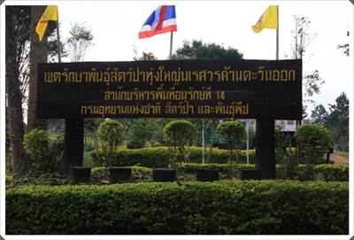 โครงการเสริมโปงเทียม ณ เขตรักษาพันธุ์สัตว์ป่าทุ่งใหญ่นเรศวรตะวันออก (อุ้มผาง น้ำตกทีลอซู พม่า เมียวดี ) 20 -22 พ.ย. 52