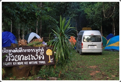 โครงการเสริมโปงเทียม ณ เขตรักษาพันธุ์สัตว์ป่าทุ่งใหญ่นเรศวรตะวันออก (อุ้มผาง น้ำตกทีลอซู พม่า เมียวดี ) 20 -22 พ.ย. 52