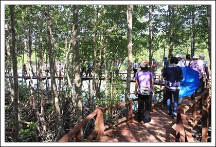 Southern Expo 2010 1-3 พฤษภาคม 2553