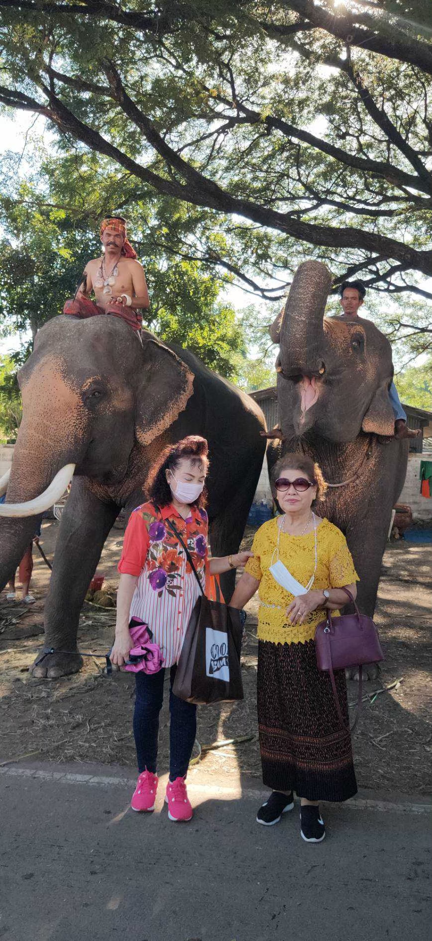 มหัศจรรย์ 60 ปี งานช้างสุรินทร์ บุรีรัมย์ 3วัน 2คืน เดินทาง 20-22 พ.ย.2563