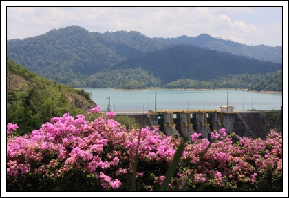 Southern Expo 2010 1-3 พฤษภาคม 2553