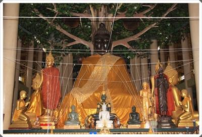 โครงการ 