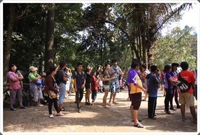 โครงการเสริมโปงเทียม ณ เขตรักษาพันธุ์สัตว์ป่าทุ่งใหญ่นเรศวรตะวันออก (อุ้มผาง น้ำตกทีลอซู พม่า เมียวดี ) 20 -22 พ.ย. 52