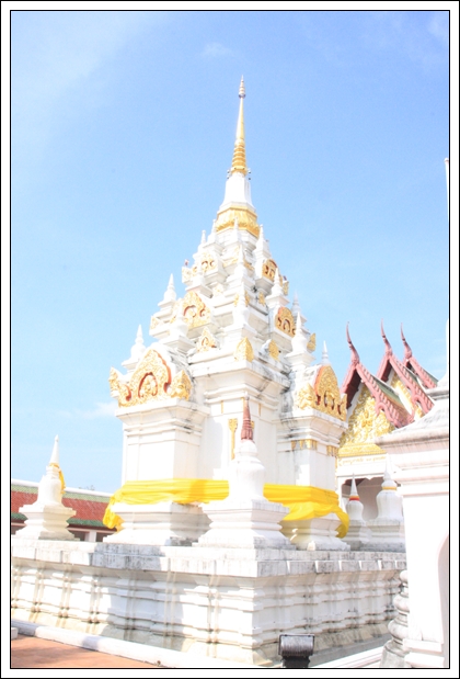 Southern Expo 2010 1-3 พฤษภาคม 2553